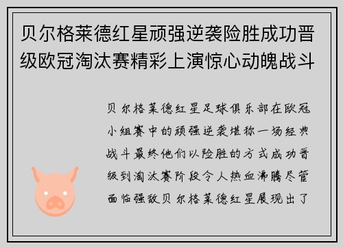 贝尔格莱德红星顽强逆袭险胜成功晋级欧冠淘汰赛精彩上演惊心动魄战斗